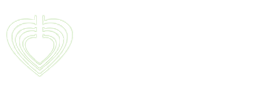 湖南夢蝶科技有限公司